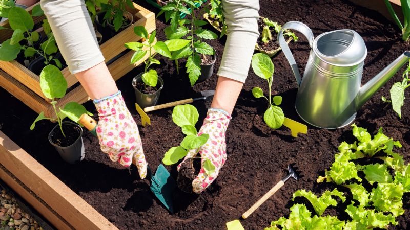 Preparing Garden Beds
